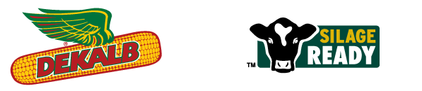 Dekalb Silage ready graphic