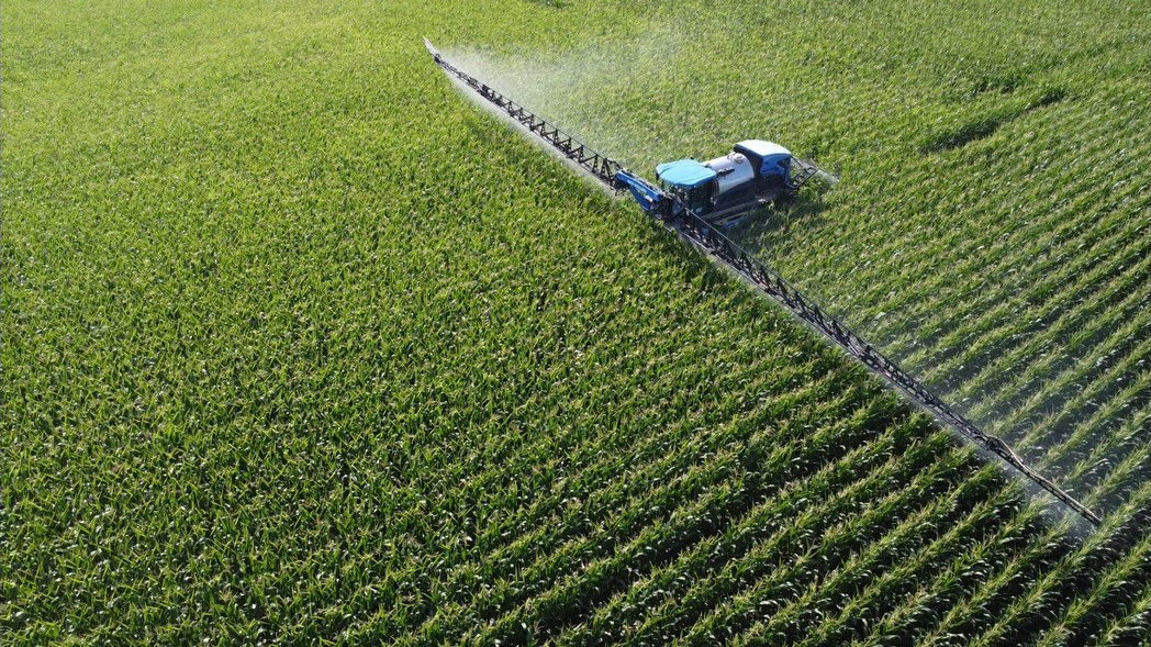 Brussels Agromart corn cultivation